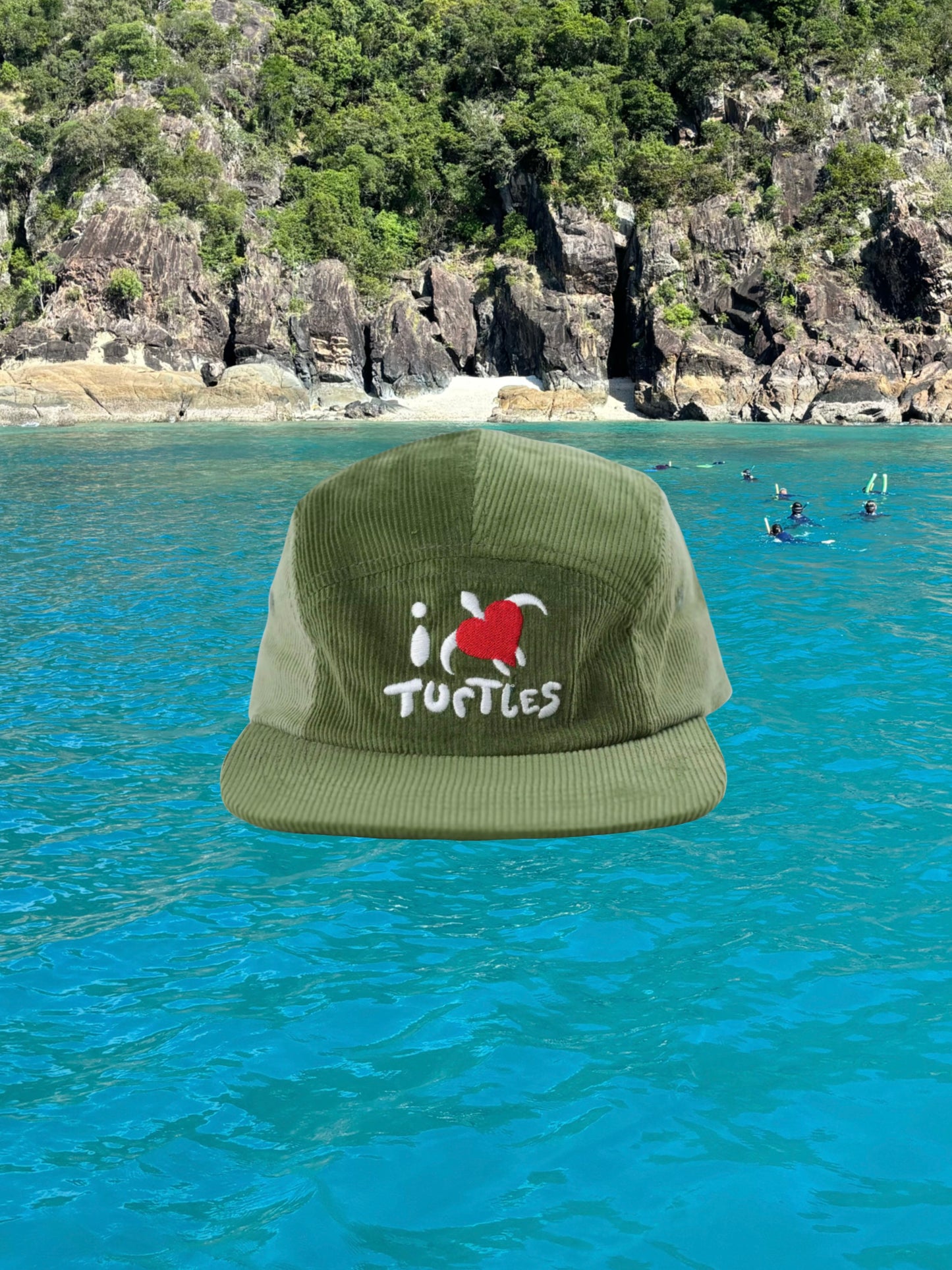 Turtle Fan Club cord lid