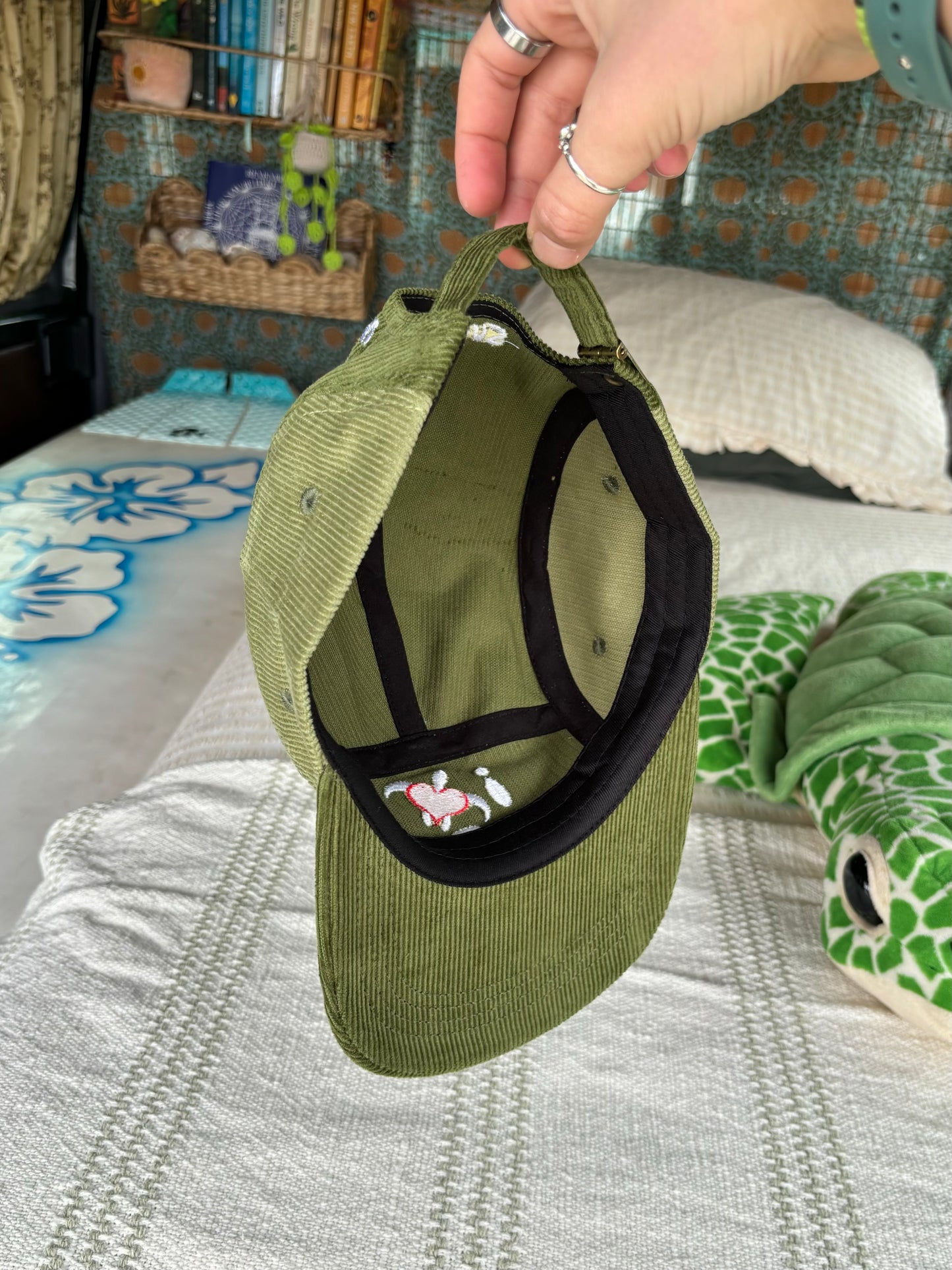 Turtle Fan Club cord lid